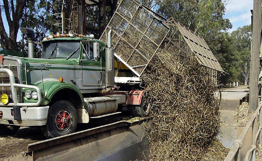 Hundreds of cane growers will attend an industry meeting in Maryborough this week to discuss Federal Government reforms. Hundreds of cane growers will attend an industry meeting in Maryborough this week to discuss Federal Government reforms.